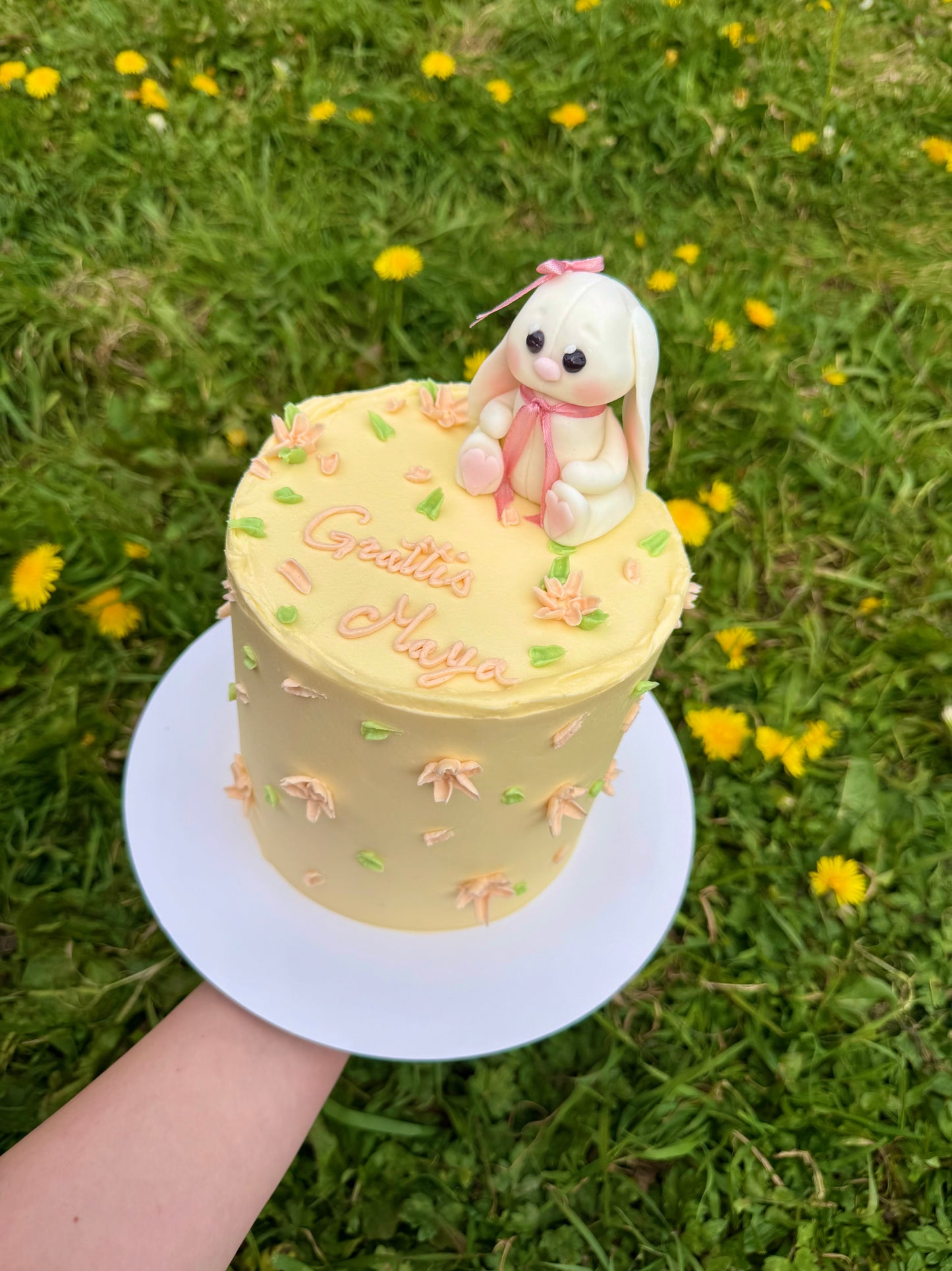 Fondant figures Cake